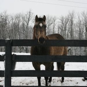 Meet your Posher, Carla